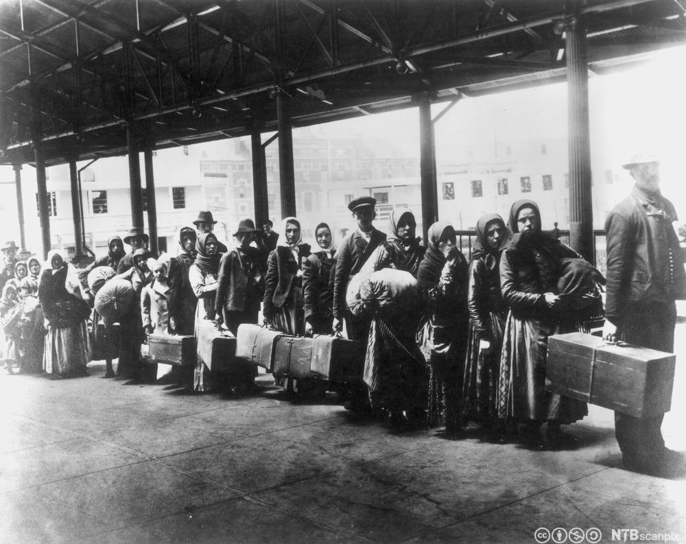 Struggles of Migration